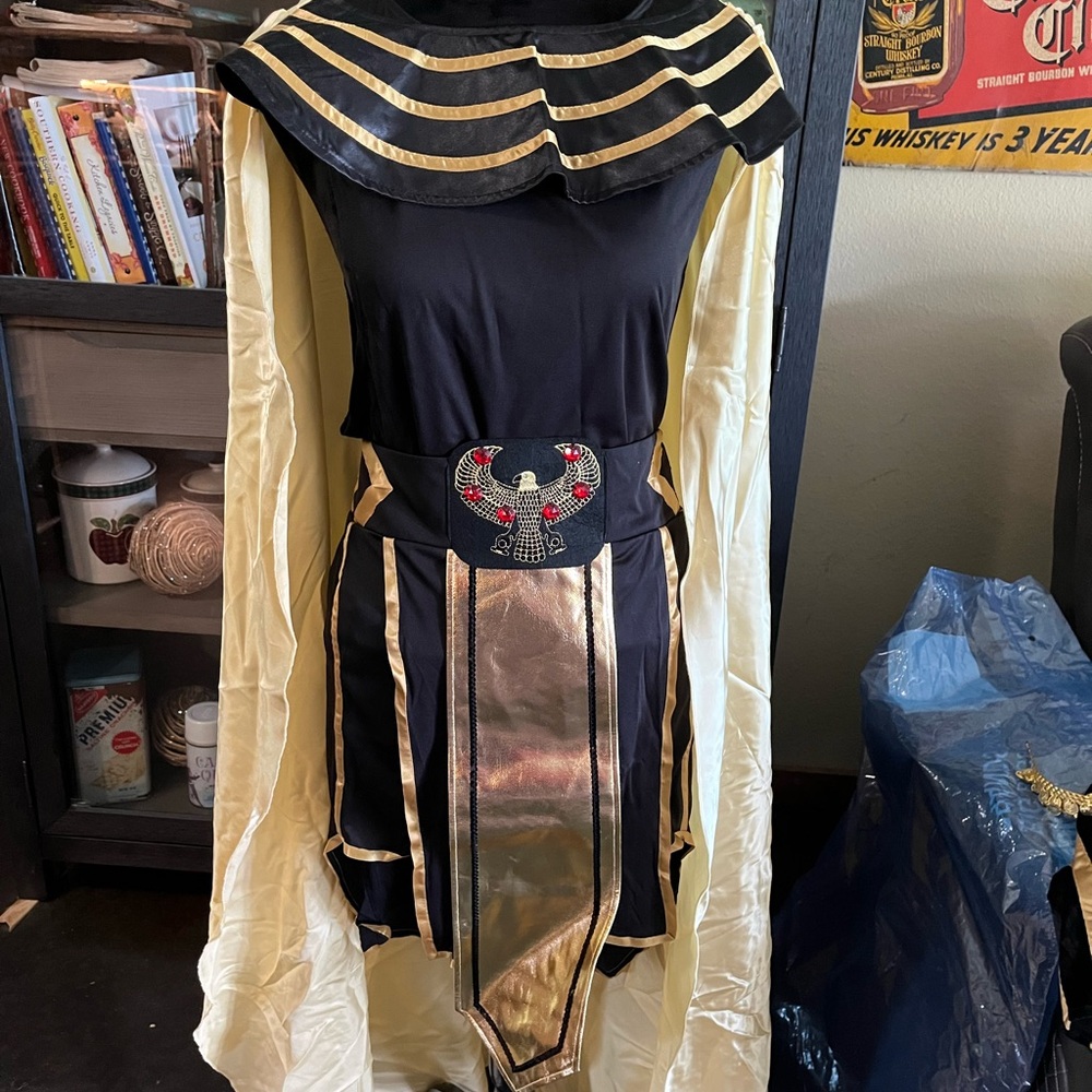 Egyptian Pharaoh Costume - Black and Gold